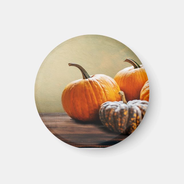 Hösten Pumpkins. Thanksgiving och Halloween fortfa Magnet (Framsidan)