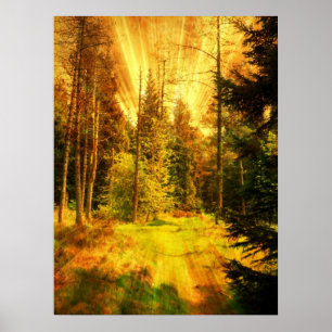 Hösten Skogen Fire Storm. Poster