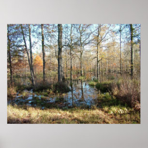 Hösten Skogen Poster