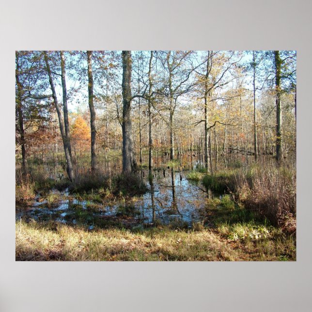 Hösten Skogen Poster (Framsidan)