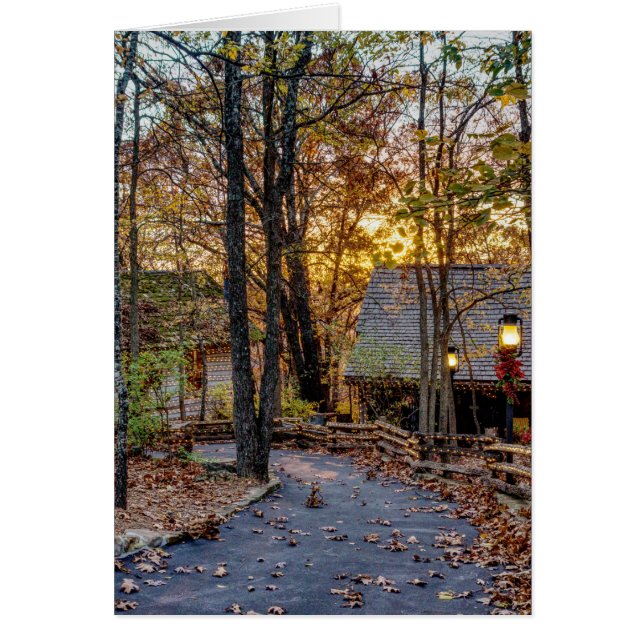 Hösten Skogen Sunset Walkway Greeting Card OBS Kort (Framsidan)