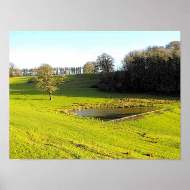 Hösten sol i Somerset Poster (Framsidan)