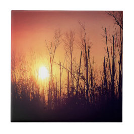 Hösten Sol Kakelplatta