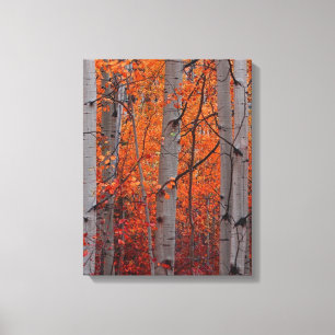 Hösten Splendor Canvastryck
