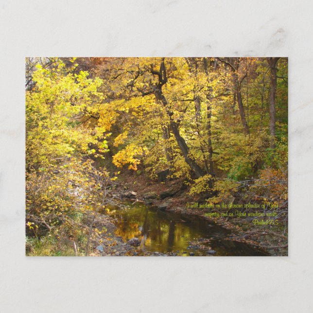 Hösten Splendor III Vykort (Framsida)
