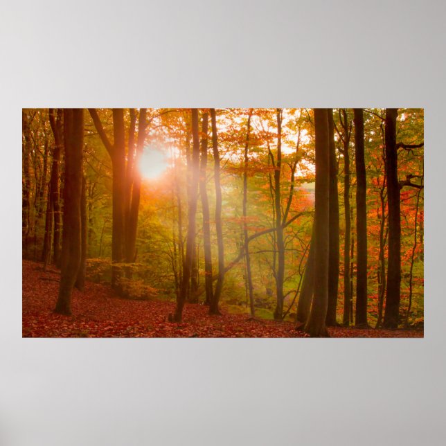 Hösten Splendor Poster (Framsidan)