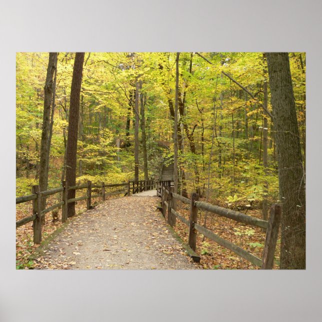 Hösten Stillness Poster (Framsidan)