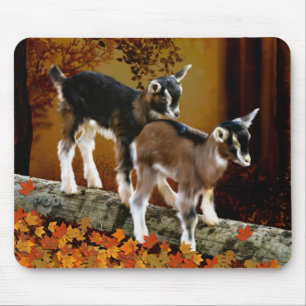 Hösten Theme Baby Goats Musmatta