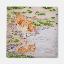 Hösten till Chicken Magnet