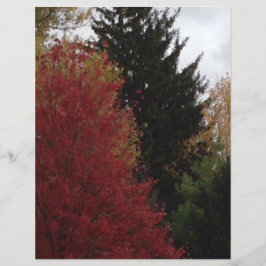 Hösten Träd i Grönten Red Gult Scrapbook Papper