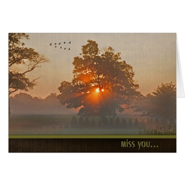 Hösten Träd i Misty Sunlight Hälsningskort (Framsidan Horizontal)