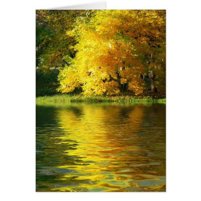 Hösten träd i skogen med eftertanke hälsningskort (Framsidan)