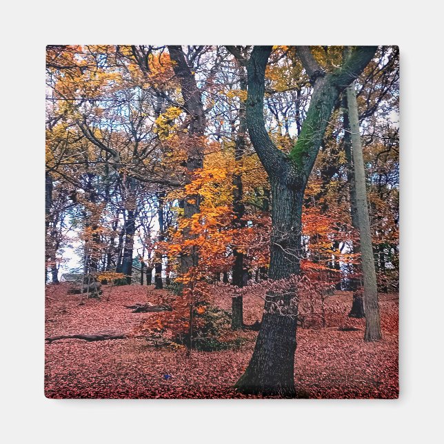 Hösten träd magnet (Framsidan)