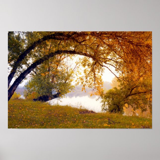 Hösten träd Misty sjö Poster (Framsidan)