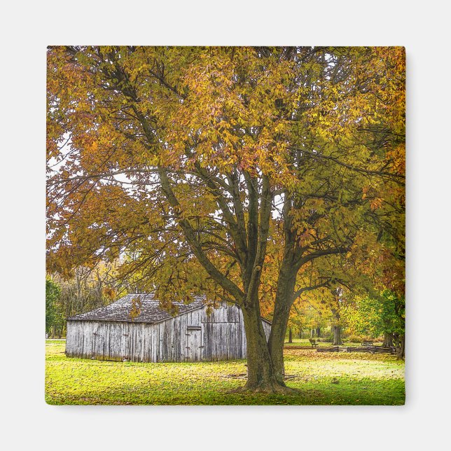 Hösten Träd och Barn Painterly Magnet (Framsidan)