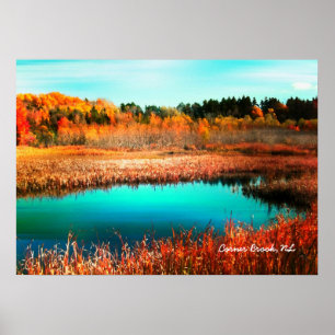 Hösten Träd och Marshland Newfoundland Kanada Poster