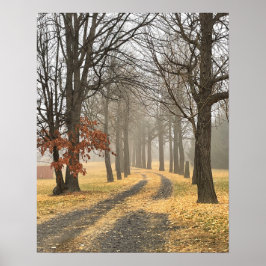 Hösten Träd Poster