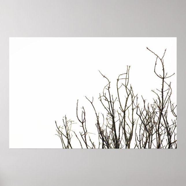 hösten träd poster (Framsidan)