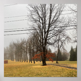 Hösten Träd Poster