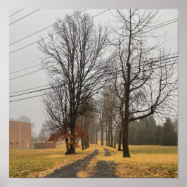 Hösten Träd Poster