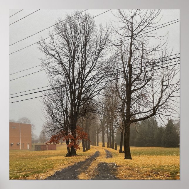 Hösten Träd Poster (Framsidan)