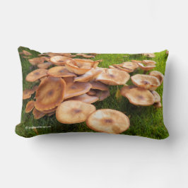 Hösten: Utfall av Mushroom Colonies på Gräsmatta Lumbarkudde