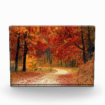 Hösten Väg genom Träd