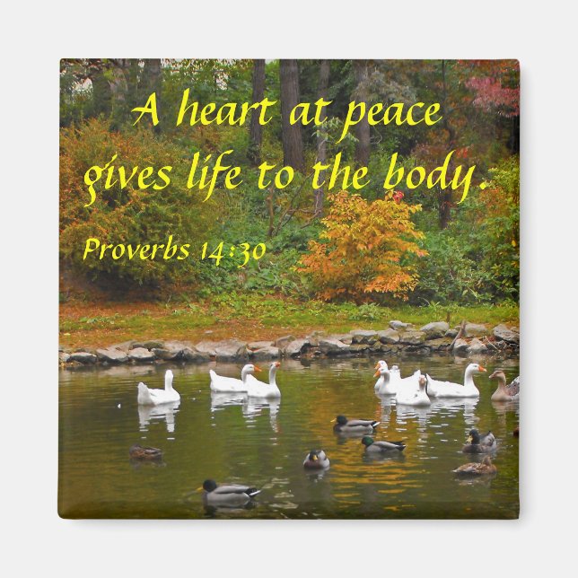 Hösten vid Anka Pond Magnet (Framsidan)