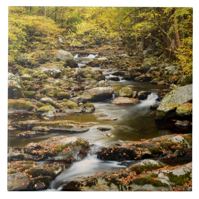 Hösten vid Big Bäck Kakelplatta (Framsidan)