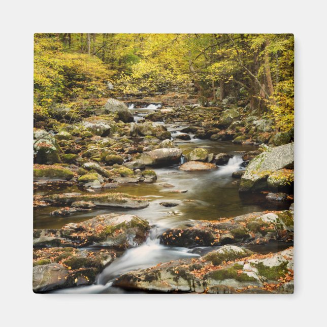 Hösten vid Big Bäck Magnet (Framsidan)