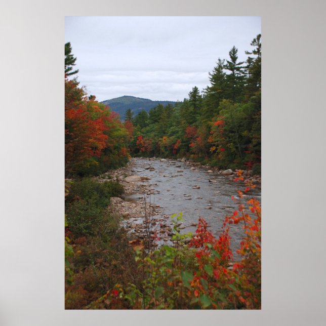 Hösten vid floden poster (Framsidan)