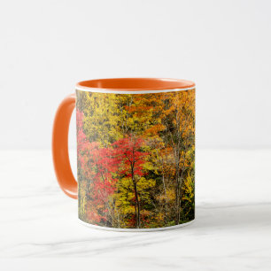 Hösten vid Sims Pond North Carolina, Blue Ridge Mugg