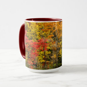 Hösten vid Sims Pond North Carolina, Blue Ridge Mugg