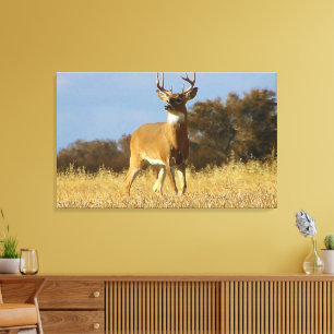 Hösten Whitetail Buck Canvastryck
