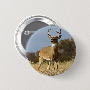 Hösten Whitetail Buck Knapp