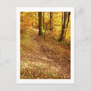 Hösten Woodland: Cumbria Vykort