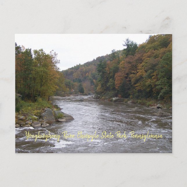 Hösten Yough-vykort Vykort (Framsida)