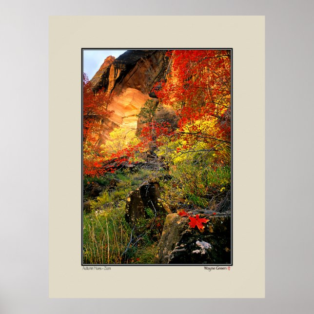 Hösten - Zion nationalpark Poster (Framsidan)