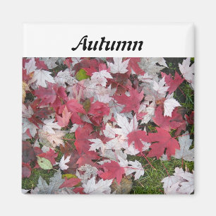 Höstens blad magnet