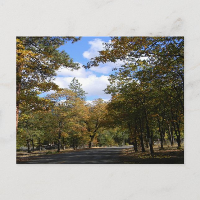 Höstens färger... vykort (Framsida)