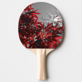 Höstens glöd pingisracket