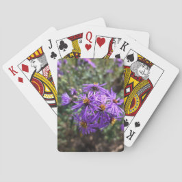 Höstens purpurskimmer casinokort
