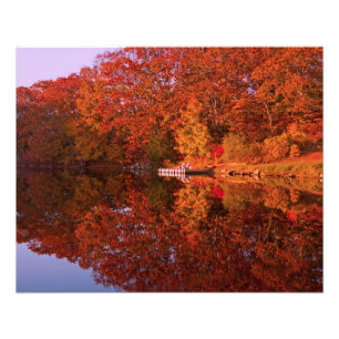 Höstens reflektion fototryck