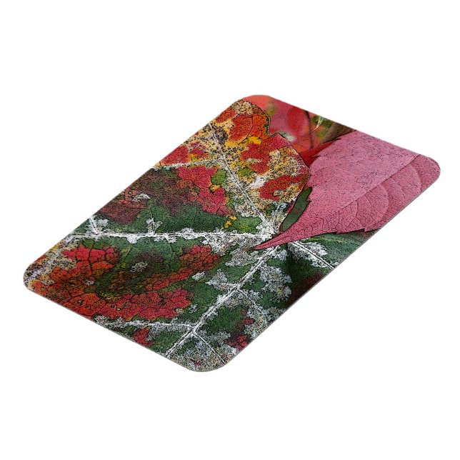 höstens rost magnet (Vänstra Sidan)