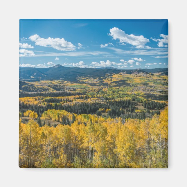 Höstfärg i Flat Tops | Routt National Forest Magnet (Framsidan)