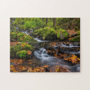 Höstfärg längs Starvation Creek Falls Pussel