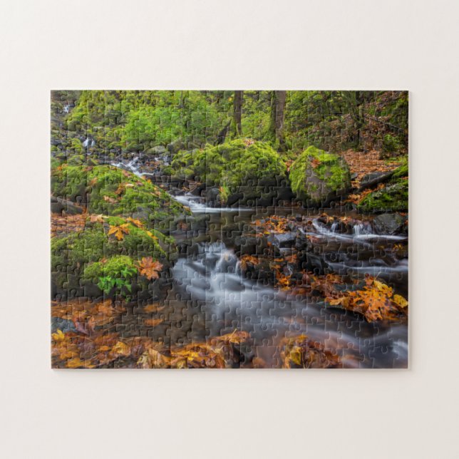 Höstfärg längs Starvation Creek Falls Pussel (Horisontell)
