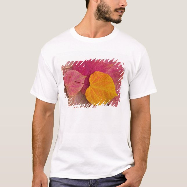 Höstfärg på Forest Pansy Redbud fallna Tee Shirt (Framsida)