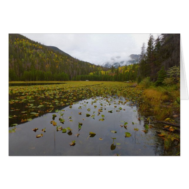 Höstfärg vid Cub Lake Hälsningskort (Framsidan Horizontal)