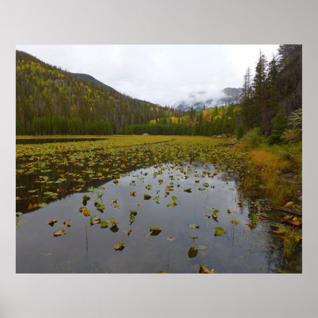 Höstfärg vid Cub Lake Poster (Framsidan)